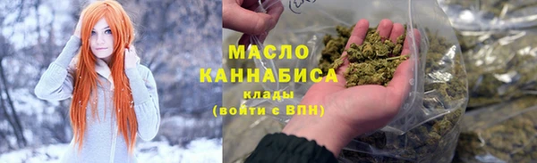 сатива Дмитровск