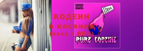 сатива Дмитровск