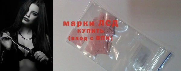 сатива Дмитровск