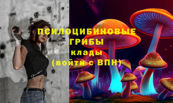 сатива Дмитровск