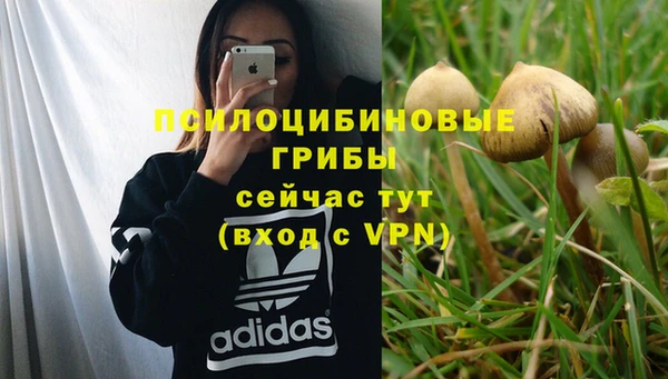 дурь Дмитриев