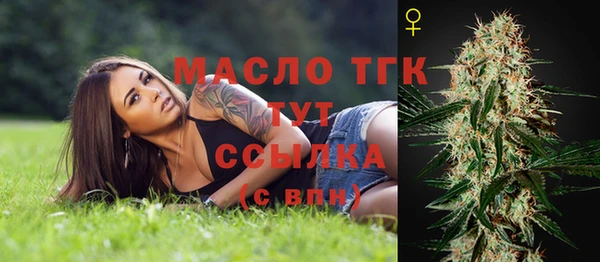 дурь Дмитриев