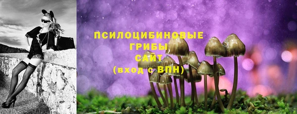 дурь Дмитриев