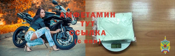 сатива Дмитровск