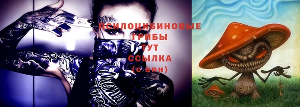 дурь Дмитриев