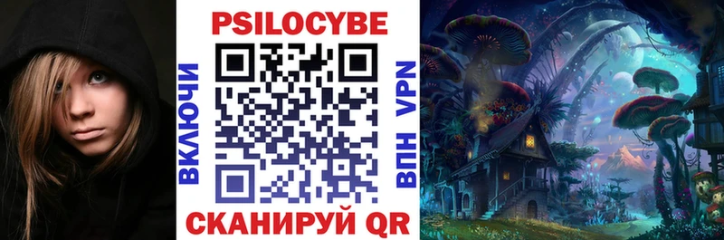 Псилоцибиновые грибы Psilocybe  Купить  Удачный 